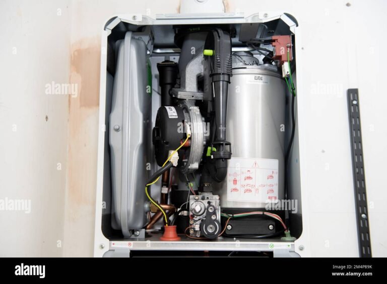 Cuáles Son Las Ventajas del Calentador Bosch De Gas Natural