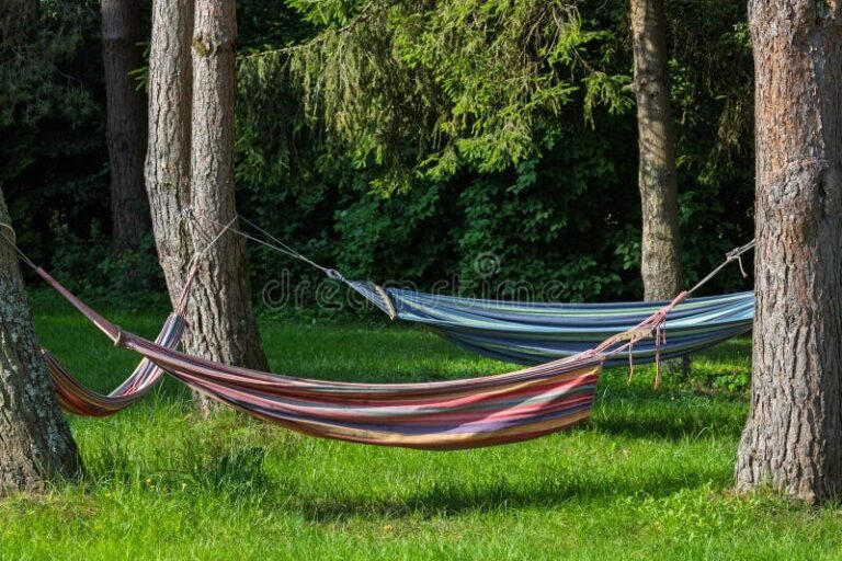 Cuáles Son Las Mejores Macas Para Descansar En Casa Y Al Aire Libre
