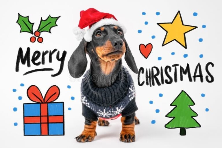 Cómo Hacer un Perro Salchicha Navideño Para Esta Temporada