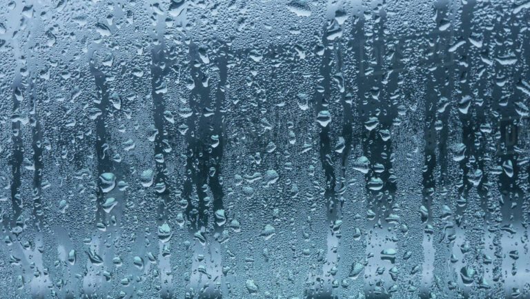 Por qué mi refrigerador tira agua dentro o afuera del aparato 10 Por qué mi refrigerador tira agua dentro o afuera del aparato
