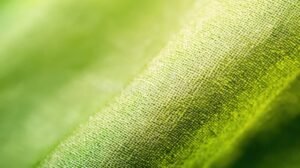 telas de bambu suaves en primer plano